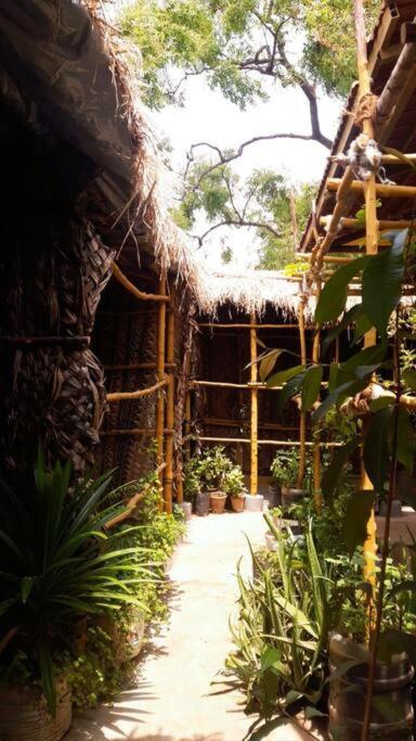 The Vintage House Villa Mysore Exterior photo