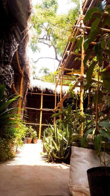 The Vintage House Villa Mysore Exterior photo
